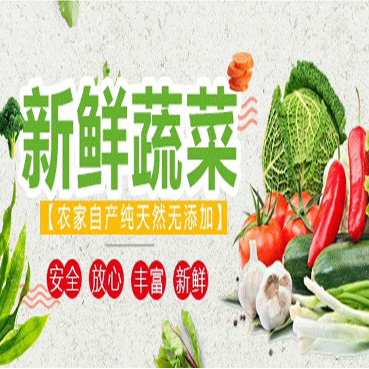 清新区食材批发蔬菜配送服务公司报价表与食堂送菜服务解析
