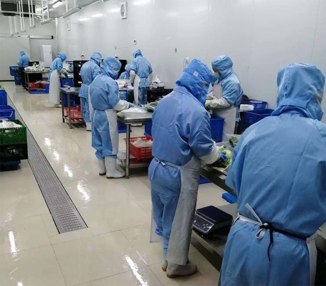 王印--&ldquo;一棵菜&rdquo;成就三产融合
